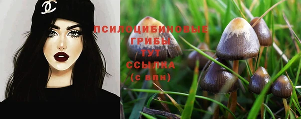 кристаллы Заволжье