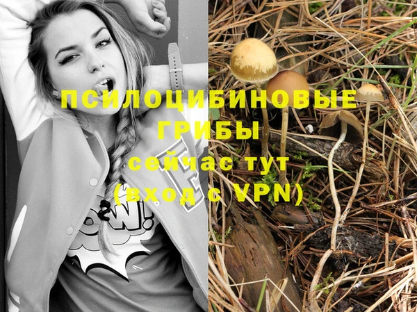 метадон Заводоуковск