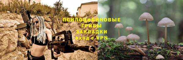 кристаллы Заволжье